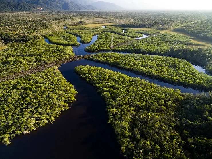 MPF pede suspensão de projeto de carbono no Amazonas