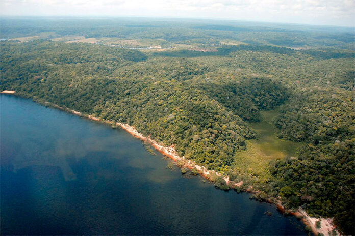 O MPF recomendou ao SFB a suspensão imediata das concessões de terras na Floresta Nacional de Humaitá, no Sul do Amazonas.