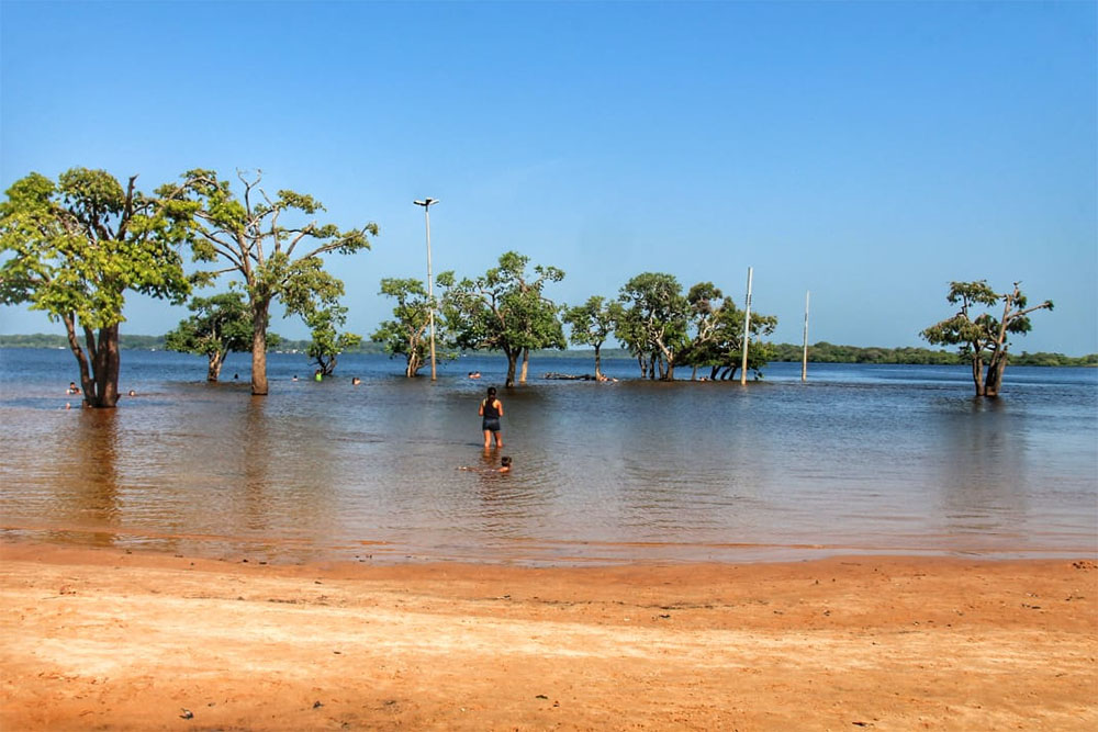 Município de Maués, conhecido também como a "Terra do Guaraná".