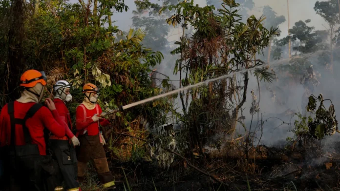 Bombeiros combatendo queimada ilegal.