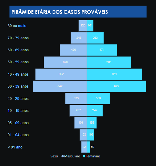 Pirâmide etária dos casos de dengue no Amazonas em 2024.