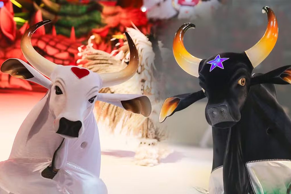 Durante o 32º Festival de Curitiba, a mostra traz quatro espetáculos inéditos à cidade, incluindo produções sobre os bois-bumbás da Amazônia