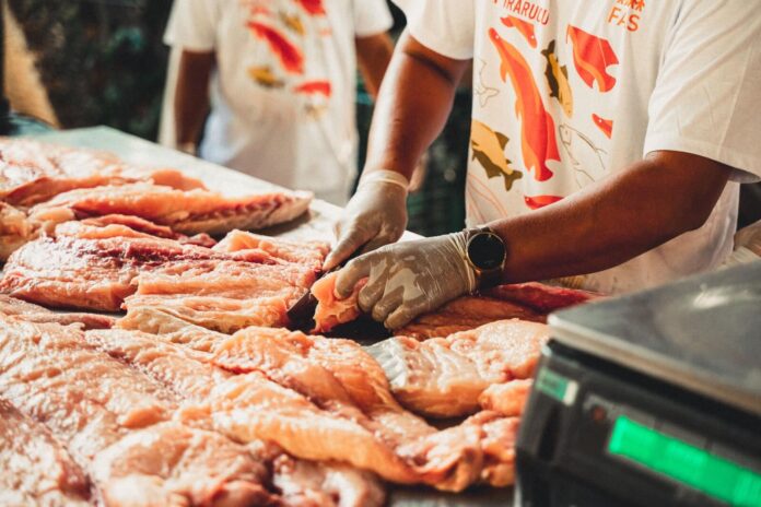 Na feira apoiada pela FAS em Manaus, manejadores lucraram mais de R$ 116 mil com a venda de pirarucu fresco.