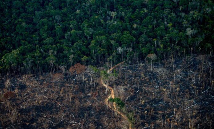 Trecho de floresta dizimado pelo desmatamento em Lábrea, um dos municípios prioritários do Amazonas.