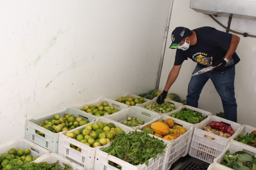 Verduras e legumes recolhidos em ação do Programa Estadual de Combate ao Desperdício e à Perda de Alimentos.