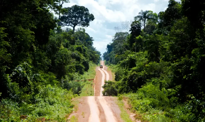 Amazônia: degradação afeta área três vezes maior que desmatamento