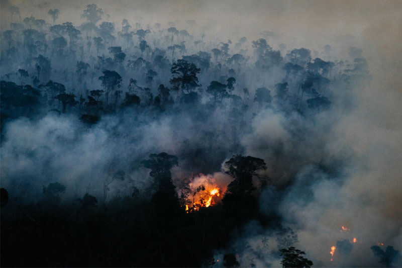 O Ibama apresentou a Plataforma de Acompanhamento da Recuperação Ambiental (Recooperar).