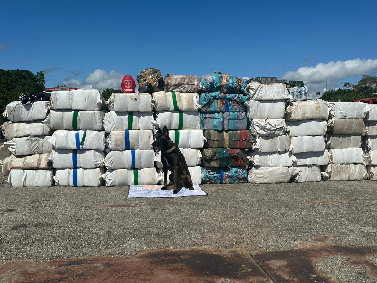 Base Arpão 2: Forças de Segurança registram maior apreensão de droga, 1,5 tonelada