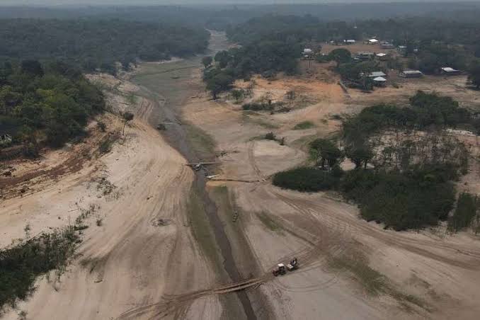 Brasileiros estão cobrando ações mais efetivas contra mudanças climáticas