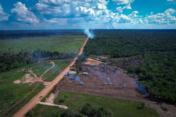 BR-319 é alvo de discussão pelos impactos ambientais causados