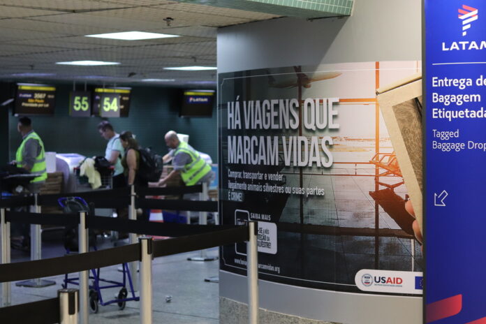 Campanha contra tráfico de animais silvestres em aeroportos do AM é intensificada