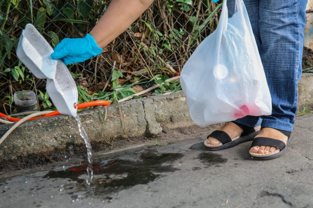 Combate à proliferação da febre Oropouche segue os mesmos princípios da prevenção à dengue.