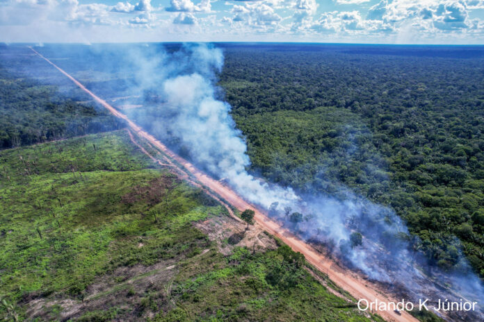 Mapa interativo apresenta dados sobre BR-319 que corta o AM