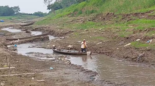 O Amazonas vive uma situação ambiental crítica em 2024, marcada pela seca antecipada e um aumento alarmante nas queimadas.