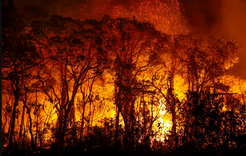 Amazonia concentra maior parte de focos de incêndio do Brasil