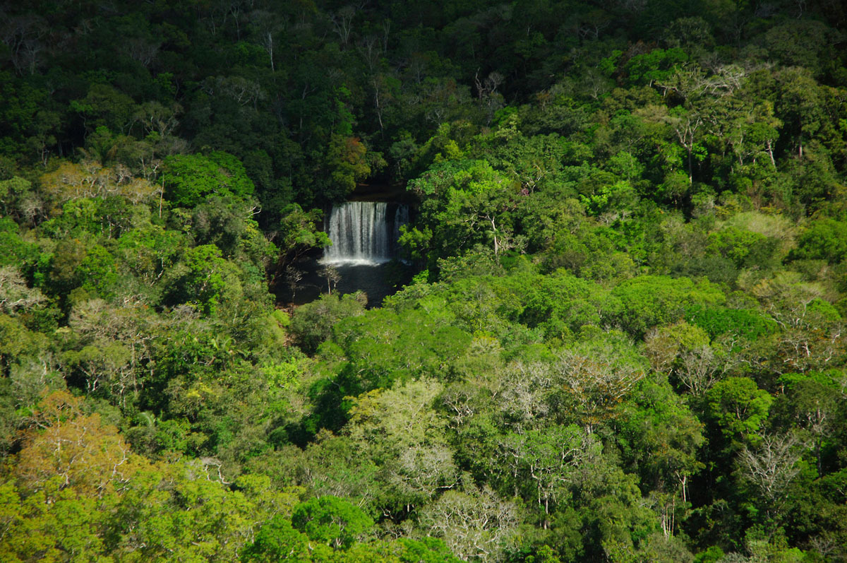 Instituto lança edital para projetos que protejam a Amazônia
