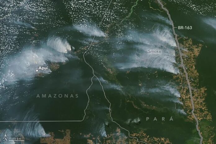 Amazônia está menos verde, NASA divulga fotos que mostram desmatamento e fumaça