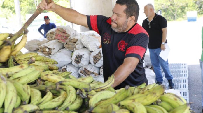 Com um investimento superior a R$ 107 mil, o Governo do AM comprou 13 toneladas de alimentos da agricultura familiar.