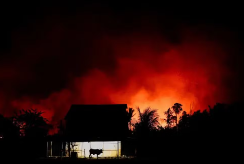 A área de florestas queimadas na Amazônia em agosto de 2024 registrou um aumento de 132% em comparação com o mesmo mês de 2023.