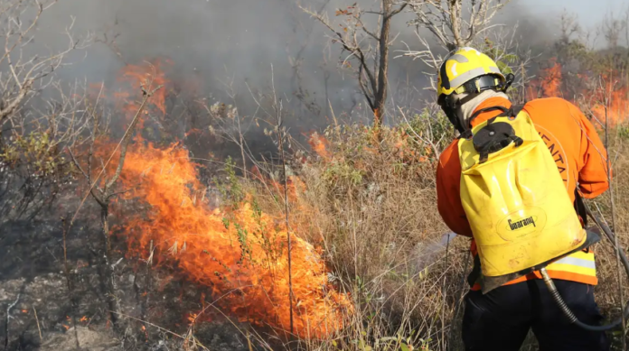 Mário Sarrubbo, afirmou que os responsáveis pelos incêndios serão punidos e obrigados a indenizar a população e restaurar os biomas.