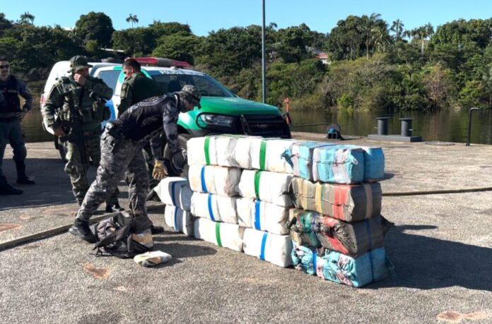 Apreensões foram feitas, em sua maioria, pela Polícia Civil do Amazonas.