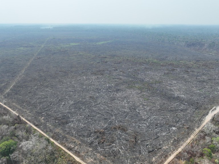 Área devastada por queimada na divisa do Acre com o Amazonas.