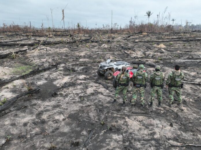 Policiais em operação em área desmatada por queimada na divisa do Acre com o Amazonas.