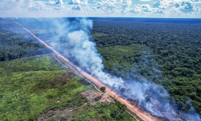 BR-319 tem causado conflitos entre Ibama, amazonenses e o Governo Federal.