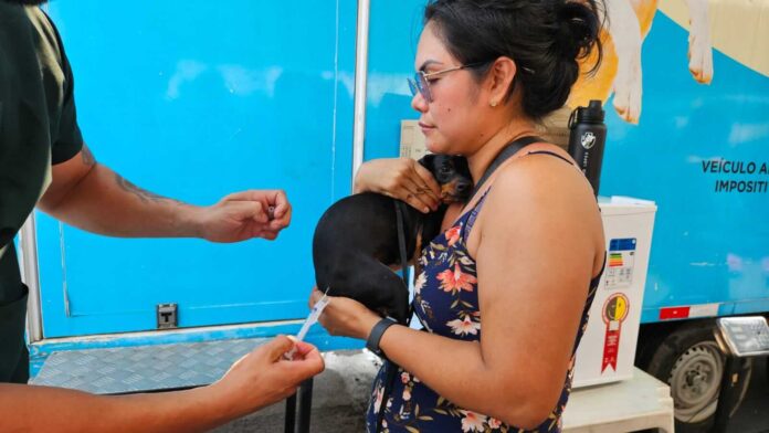 O Castramóvel estará presente neste sábado (14/12) no evento Tuti Solidário, que ocorrerá no bairro Armando Mendes, na zona leste de Manaus.