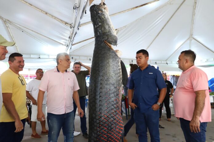 O Governo do AM deu início a um mutirão voltado à elaboração de projetos de financiamento para pescadores artesanais em Manacapuru e Itacoatiara.