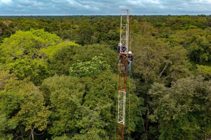 Torre do Fluxo do Mamirauá, em Tefé.