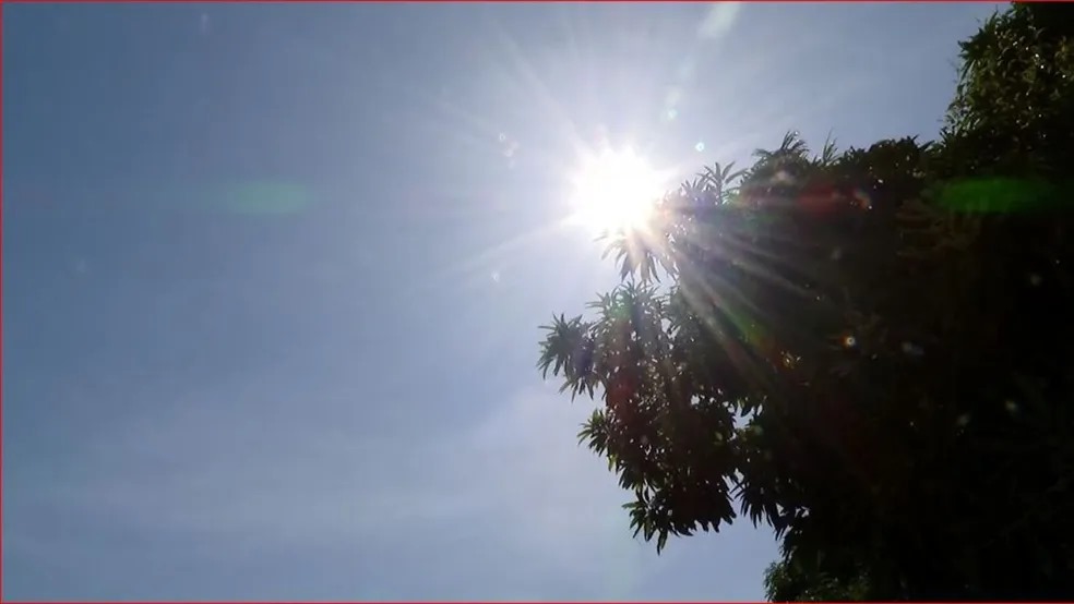 Calor extremo afetou ao menos 10 cidades do AM em 2024