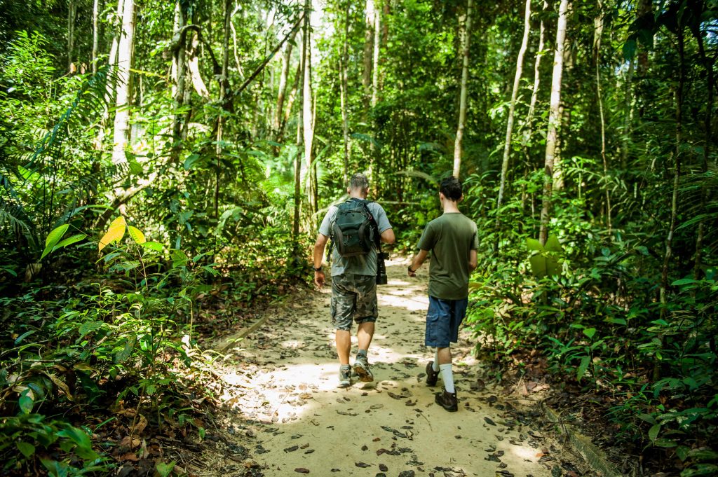 O estado do Amazonas não apareceu entre os 15 destinos mais procurados para turismo sustentável no Brasil.