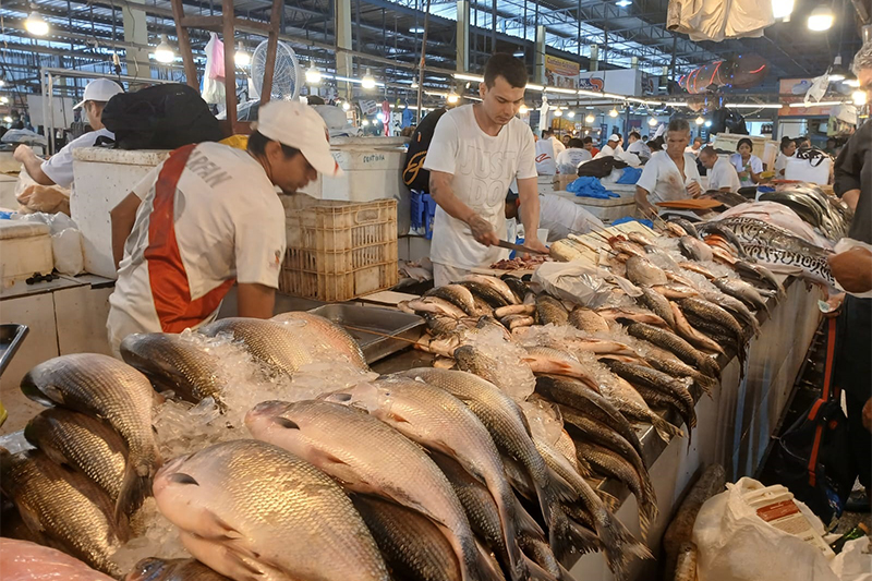 Durante a Semana Santa de 2025, os preços de pescados em Manaus subiram entre 25% e 100%, segundo levantamento.