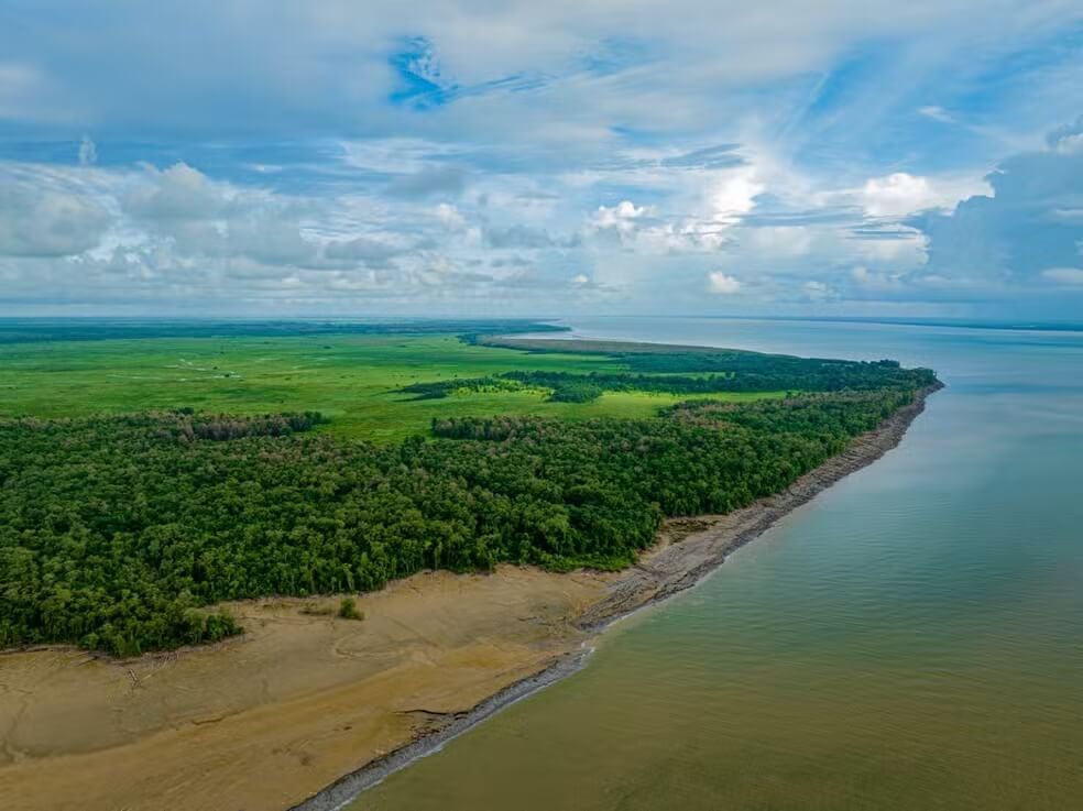 Ibama aprovou Plano de Proteção e Atendimento à Fauna Oleada da Petrobras.