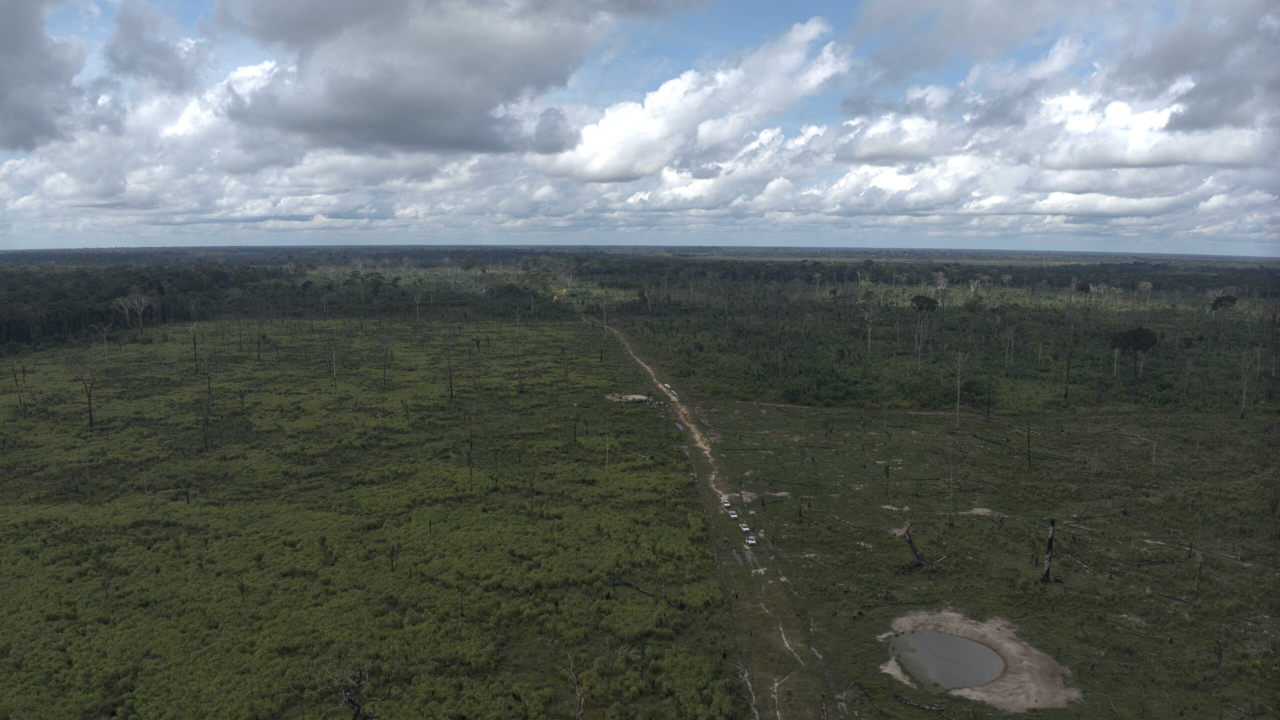 Ipaam aplica multa de R$ 5,4 milhões por desmatamento ilegal na Floresta Estadual de Tapauá