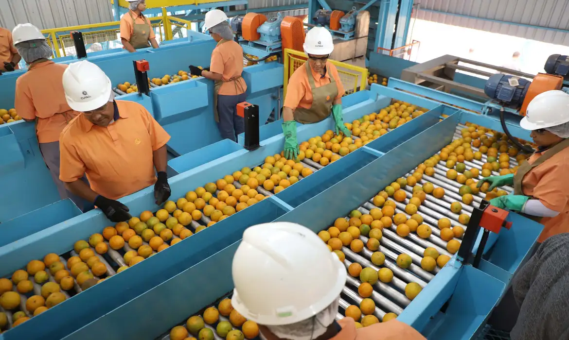Trump impõe tarifa de 50% a produtos brasileiros; café, carnes e frutas serão taxados