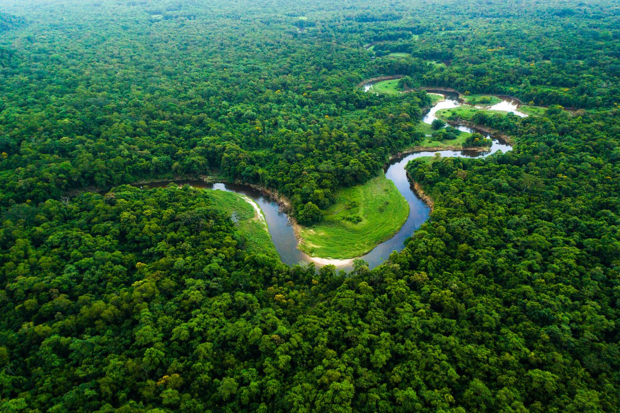 Fundo Amazônia fez anúncio de investimentos em Manaus nesta terça (12).
