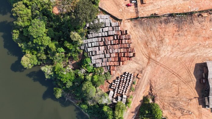 Ipaam aplica R$ 4,4 milhões em multas por extração ilegal de madeira na RDS do Juma, em Novo Aripuanã