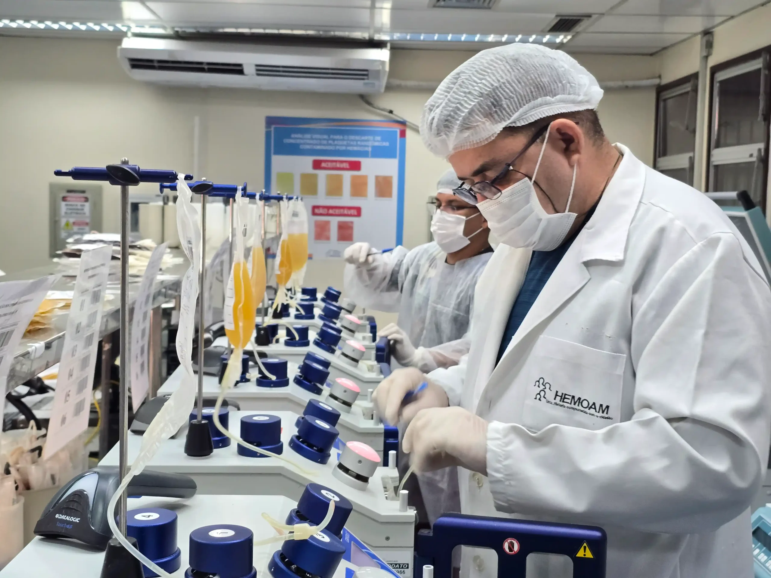 Hemoam envia 4.800 bolsas de plasma para a produção de medicamentos na Suíça