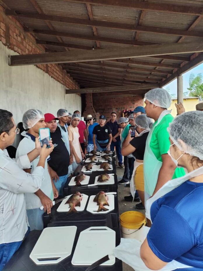 O Idam realizou, em Humaitá quatro cursos de capacitação voltados para produtores rurais.
