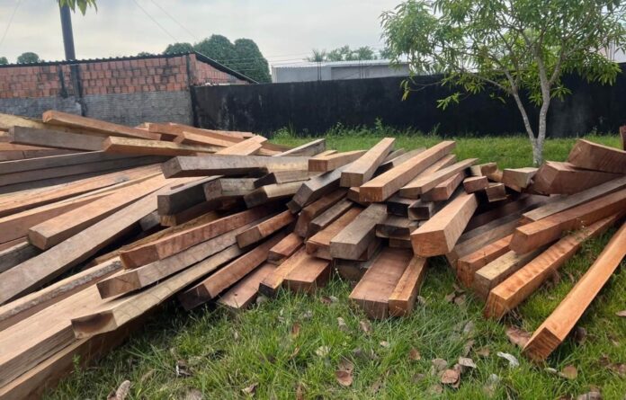 Ipaam e Batalhão Ambiental autuam dez empresas e aplicam R$ 7,3 milhões em multas durante Operação Região Metropolitana