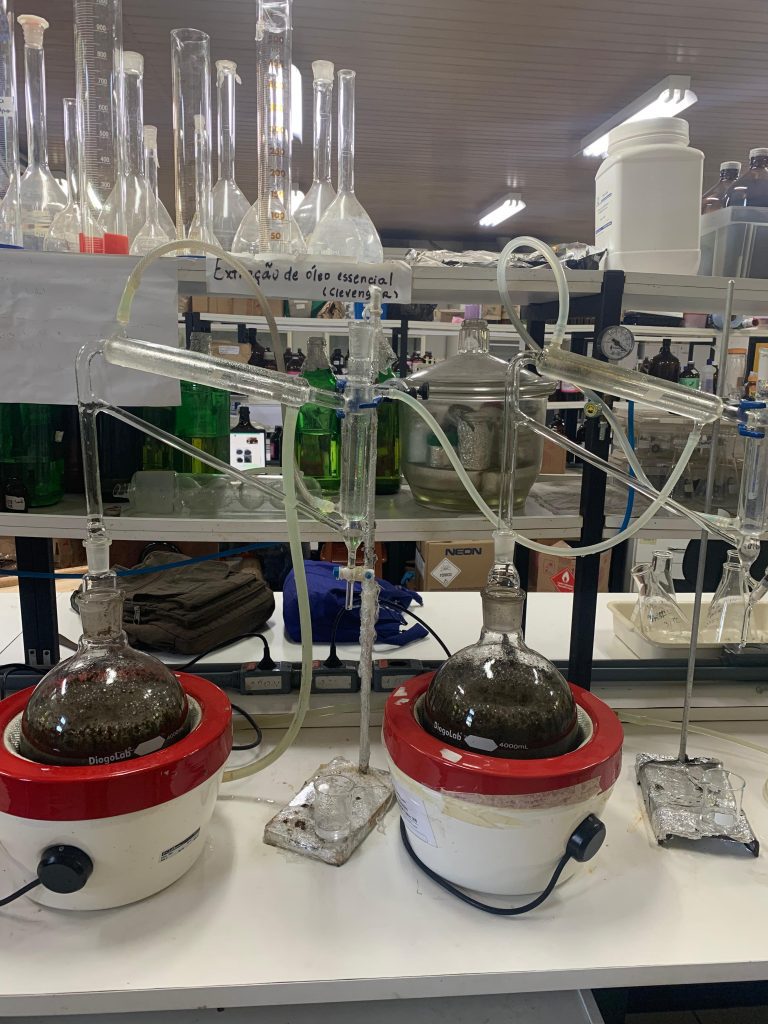 Pesquisa é realizada nos laboratórios do Inpa.