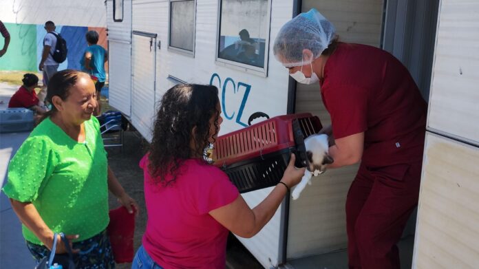A Prefeitura de Manaus, por meio do CCZ Dr. Carlos Durand, iniciou no dia 28 de julho a castração gratuita de cães e gatos no bairro São José Operário.