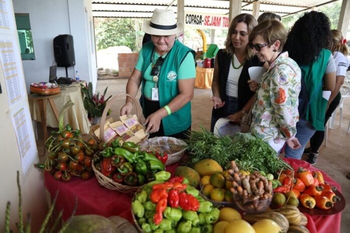 Representantes de 15 países visitaram a Cooperativa Mista dos Produtores Rurais do projeto de Assentamento Tarumã-Mirim (Copasa).