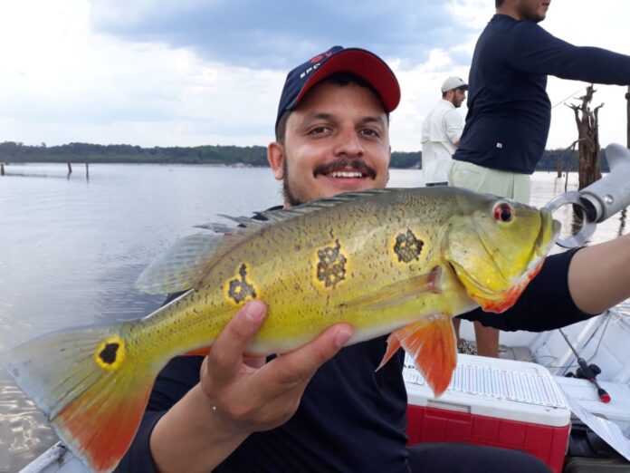 Ipaam reforça que emissão da Carteira de Pesca pode ser feita pelo site ou aplicativo