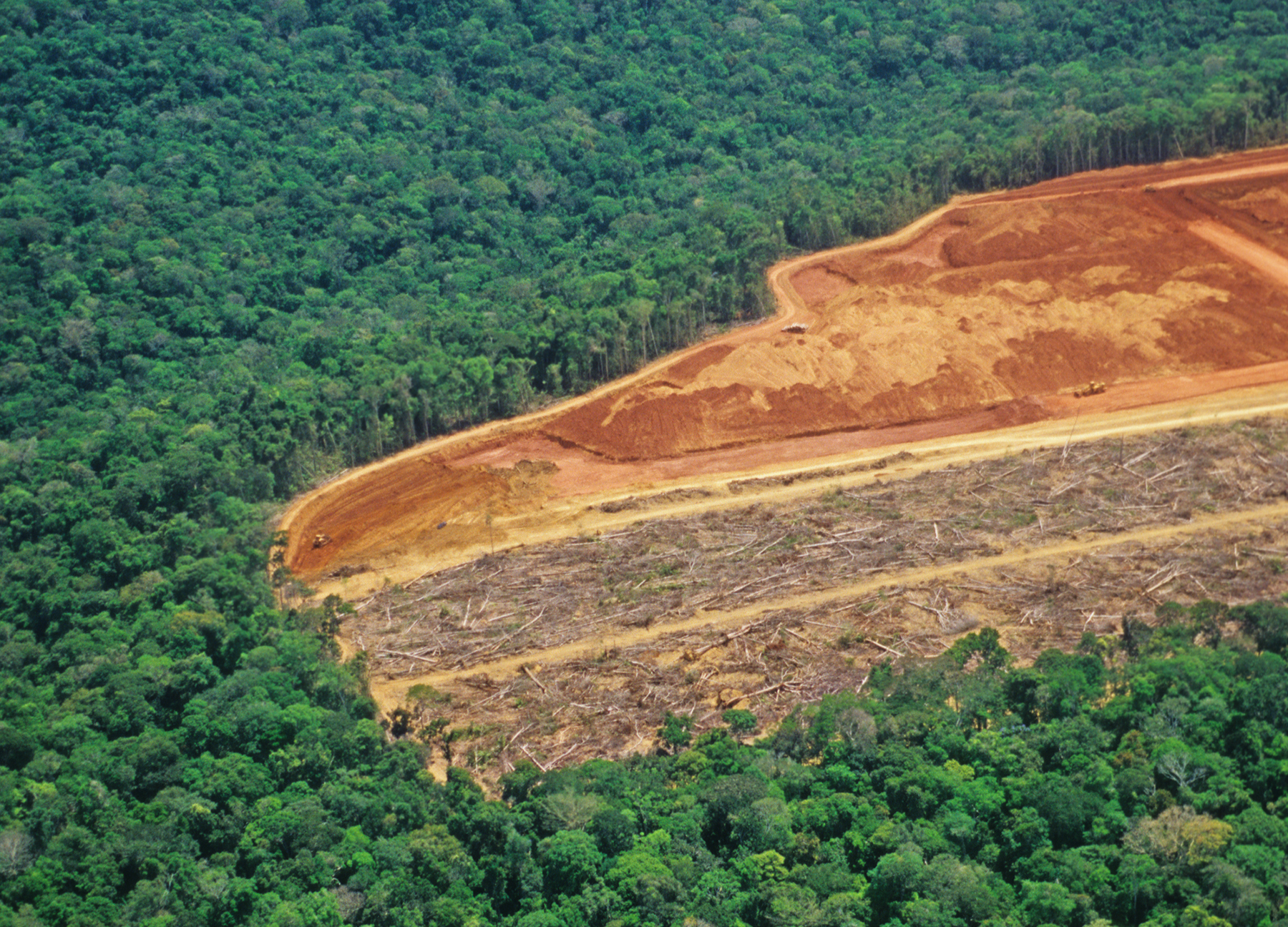 Perda florestal corresponde a área maior que a Bolívia.
