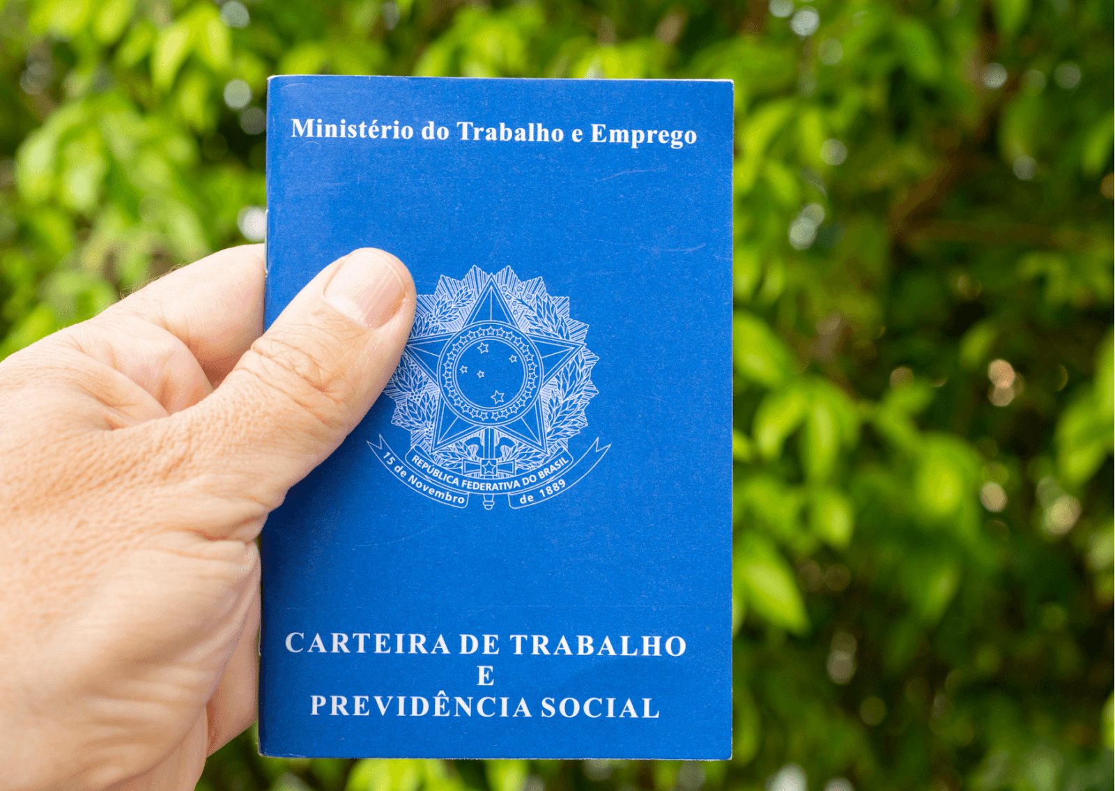 Vagas incluem oportunidades para trabalhadores com deficiência.