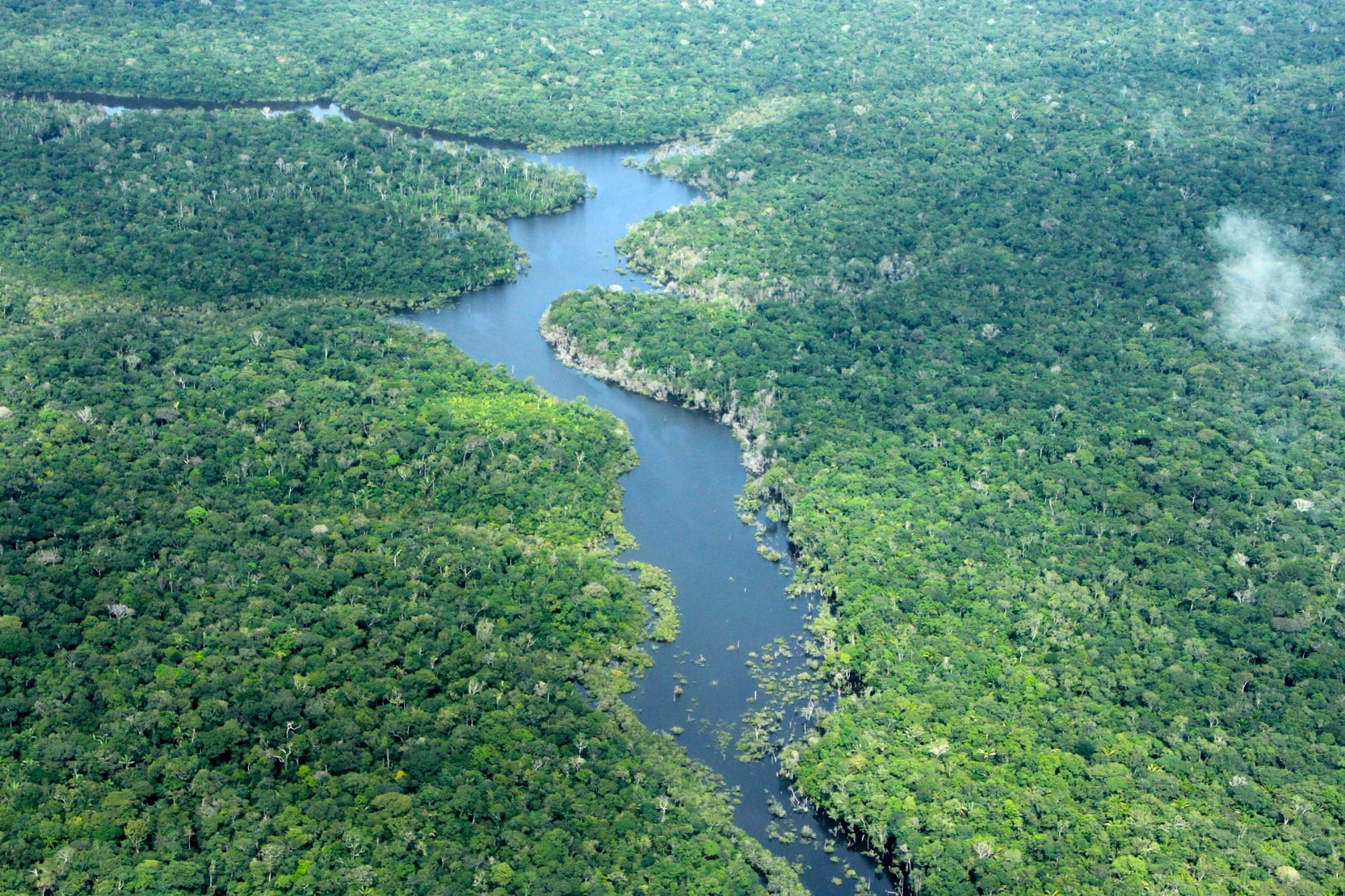 Agosto: focos de calor no Amazonas caem ao nível mais baixo desde 2011 e desmatamento diminui