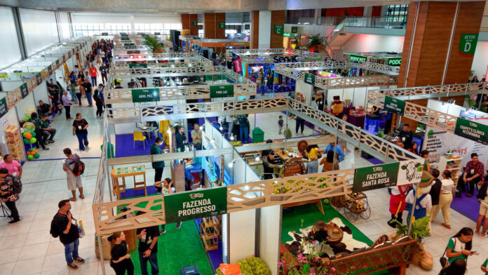 Feira de Negócios e Inovação da Afeam libera créditos no total de R$ 9,6 milhões